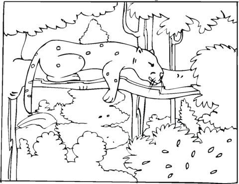 Cheetah Sleep In The Forest Coloring Page